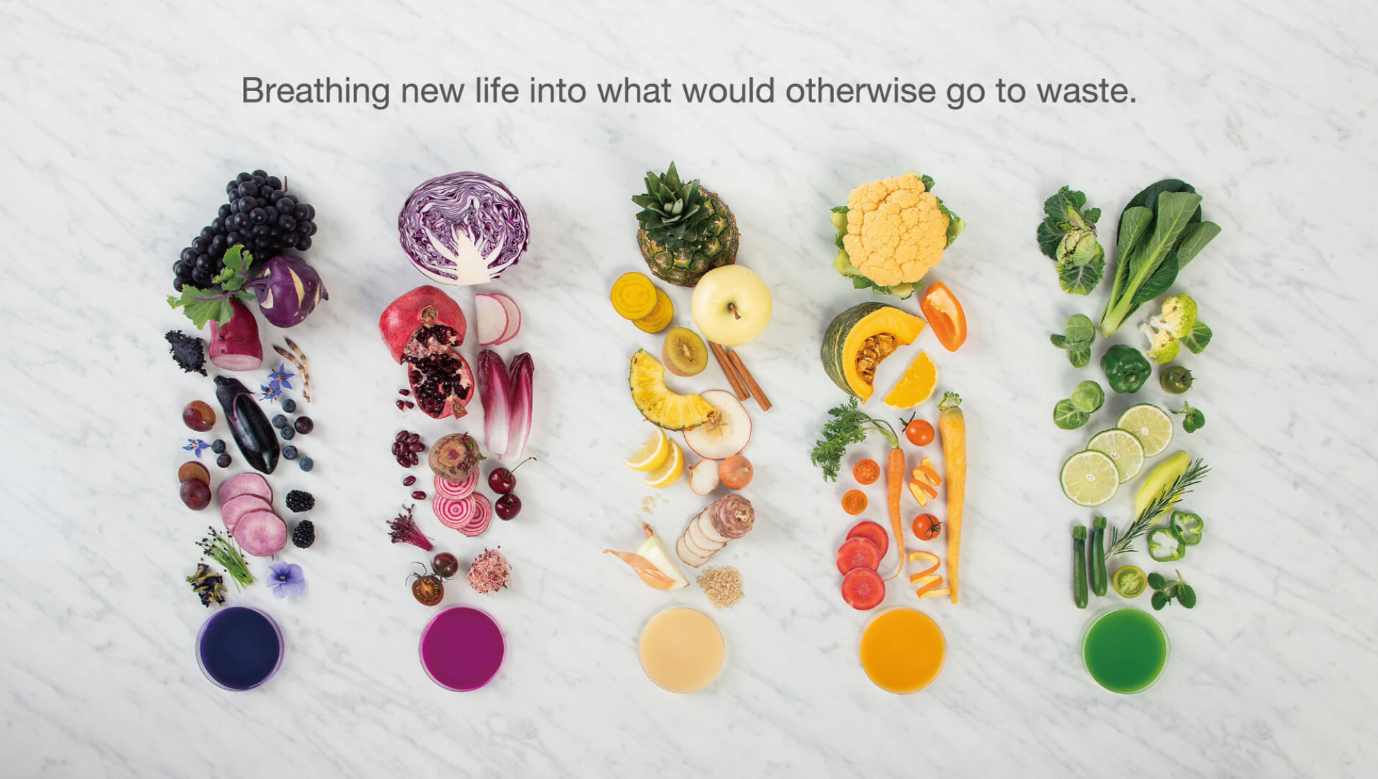 FOOD TEXTILE IMAGE